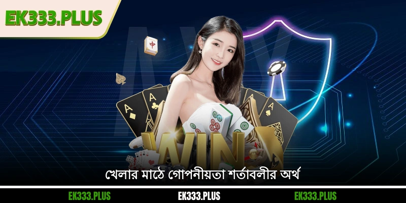 EK333 গোপনীয়তা নীতি 2 খেলার মাঠে গোপনীয়তা শর্তাবলীর অর্থ