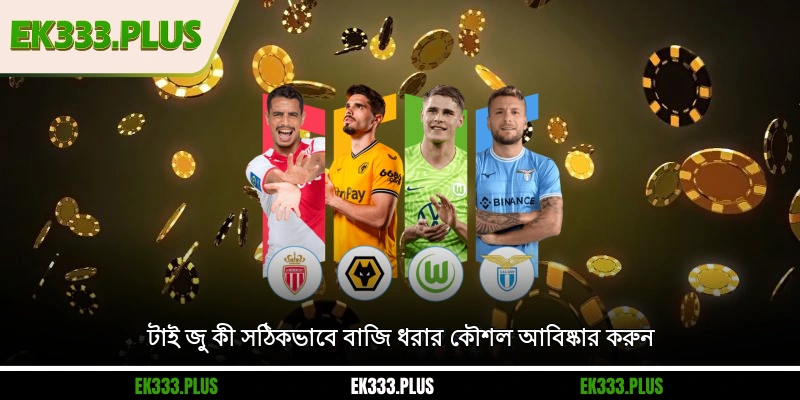টাই জু কী? সঠিকভাবে বাজি ধরার কৌশল আবিষ্কার করুন